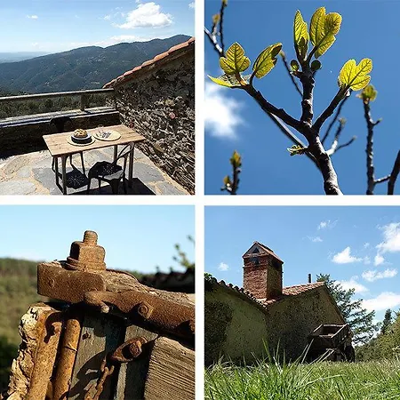Ca L'agnes *